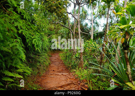 Einen atemberaubenden Blick auf die berühmte Kalalau Trail entlang der Na Pali Küste der Insel Kauai in Hawaii Stockfoto