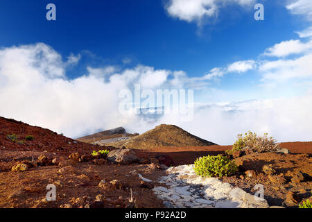 Atemberaubende Landschaft des Haleakala Vulkan Bereich vom Gipfel. Schöne Sicht auf die Wolken und die Schlackenkegel unten. Maui, Hawaii, USA. Stockfoto