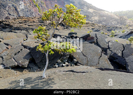 Atemberaubende Aussicht auf den Vulkan Kilauea Iki Krater Oberfläche mit zerbröckelnden Lavagestein in Volcanoes National Park in der Großen Insel von Hawaii, USA Stockfoto