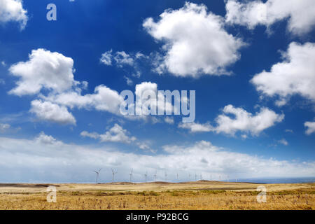 Eine Reihe von Windmühlen auf der Südseite der Großen Insel von Hawaii, USA Stockfoto