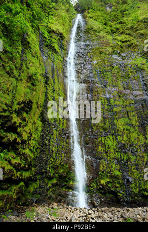 Berühmte Waimoku fällt Wasserfall an der Spitze des Pipiwai Trail, über Sieben Heiligen Pools auf der Straße nach Hana. Maui, Hawaii, USA. Stockfoto