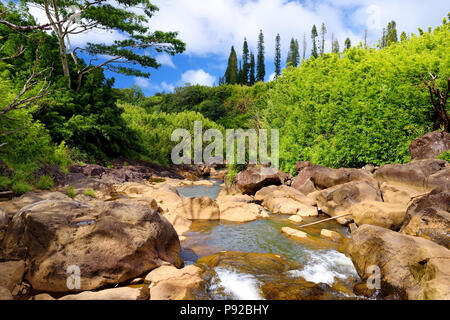 Wunderschöne Aussicht auf einen Datenstrom zwischen Felsen, an der berühmten Strasse nach Hana auf Maui, Hawaii, USA Stockfoto