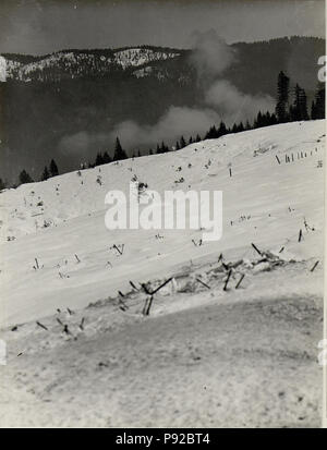 . 451 Panorama, Standpunkt, Werk Lusern. (14. Teilbild zu WK1 ALB082 24365 a) (BildID) 15631001 Stockfoto