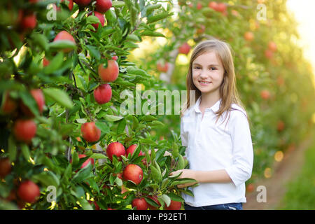 Süße kleine Mädchen pflücken Äpfel in apple tree Obstgarten. Kind Äpfel auf Apple Tree Farm im Herbst. Stockfoto