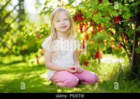 Süße kleine Mädchen Kommissionierung rote Johannisbeeren in einem Garten an warmen und sonnigen Sommer Tag Stockfoto