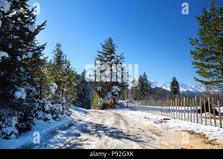 Schöne verschneite Straße in Zuruldi Hatsvali, obere Region Swanetien in Georgien. In den späten Herbst. Stockfoto