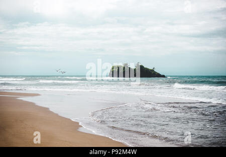 Blick auf die kleine felsige Insel, den Strand von Playa Cocles, in der Nähe von Puerto Viejo, an der karibischen Küste von Costa Rica Stockfoto