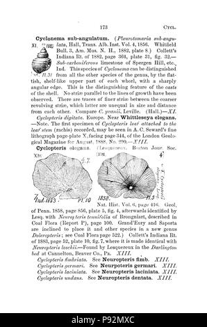 Ein Wörterbuch der Fossilien von Pennsylvania und Nachbarstaaten in die Berichte und Kataloge der Umfrage benannt (Seite 173) Stockfoto
