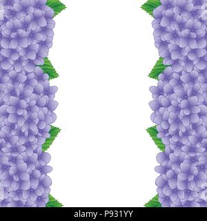 Purple Hydrangea Blume Grenze isoliert auf weißem Hintergrund. Vector Illustration. Stock Vektor