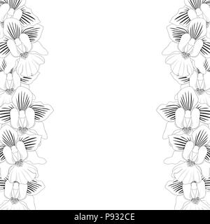 Vanda Miss Joaquim Orchid Umreißrand isoliert auf weißem Hintergrund. Vector Illustration. Singapur nationale Blume. Stock Vektor