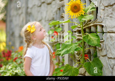 Süße kleine Mädchen zu erreichen, eine Sonnenblume im Sommer. Natur entdecken mit Kindern. Stockfoto