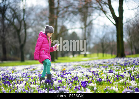 Junge Mädchen Kommissionierung crocus Blumen auf schönen blühenden Krokusse Wiese am frühen Frühling Süß. Adorable Kind Spaß im Freien. Stockfoto