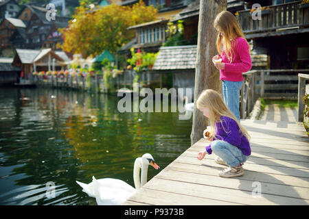 Zwei kleine Mädchen Fütterung Schwänen in Hallstatt Stadt am See in den österreichischen Alpen im schönen Abendlicht auf schönen Tag im Herbst Stockfoto