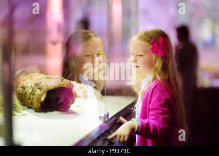 Süße kleine Mädchen Tiere beobachten in den Zoo. Kind beobachten zoo Tiere durch die Fenster. Schlangen in einem Terrarium. Stockfoto