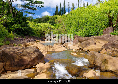 Wunderschöne Aussicht auf einen Datenstrom zwischen Felsen, an der berühmten Strasse nach Hana auf Maui, Hawaii, USA Stockfoto