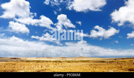 Eine Reihe von Windmühlen auf der Südseite der Großen Insel von Hawaii, USA Stockfoto