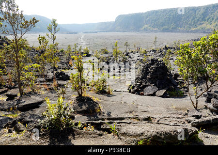 Atemberaubende Aussicht auf den Vulkan Kilauea Iki Krater Oberfläche mit zerbröckelnden Lavagestein in Volcanoes National Park in der Großen Insel von Hawaii, USA Stockfoto