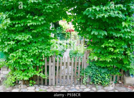 Schönen wilden Garten in Trakai, Vilnius, Litauen, mit Holzhäusern und Zaun, Steinboden. Stockfoto