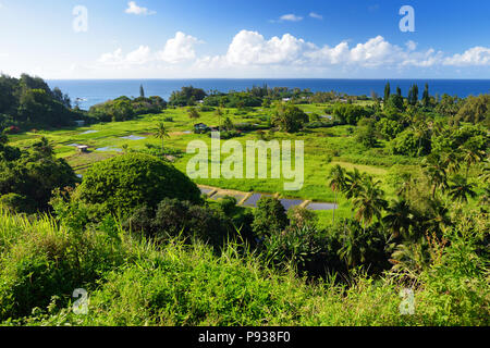 Herrliche Aussicht auf Maui Nordküste von berühmten kurvige Strasse nach Hana gesehen. Hawaii, USA. Stockfoto