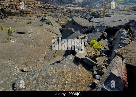 Atemberaubende Aussicht auf den Vulkan Kilauea Iki Krater Oberfläche mit zerbröckelnden Lavagestein in Volcanoes National Park in der Großen Insel von Hawaii, USA Stockfoto