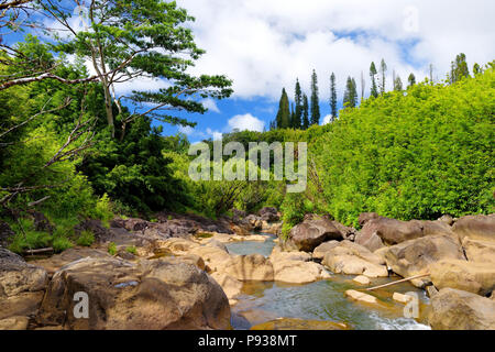 Wunderschöne Aussicht auf einen Datenstrom zwischen Felsen, an der berühmten Strasse nach Hana auf Maui, Hawaii, USA Stockfoto