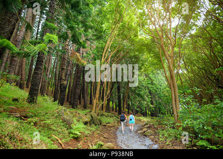 Atemberaubende Landschaft Blick von waihee Ridge Trail, Maui, Hawaii, USA gesehen Stockfoto