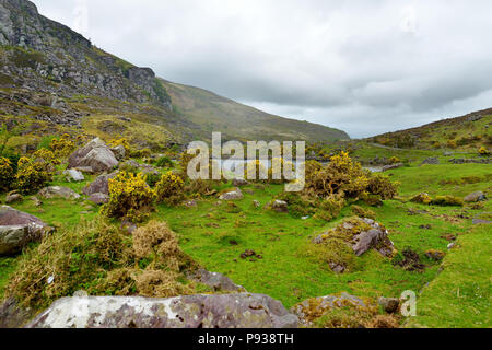 Der Fluss Loe und schmalen Pass Road Wind durch das steile Tal der Lücke von Dunloe, in der macgillycuddy Reeks Bergen, County Stockfoto