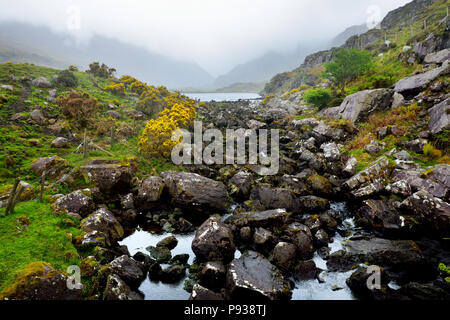 Der Fluss Loe und schmalen Pass Road Wind durch das steile Tal der Lücke von Dunloe, in der macgillycuddy Reeks Bergen, County Stockfoto