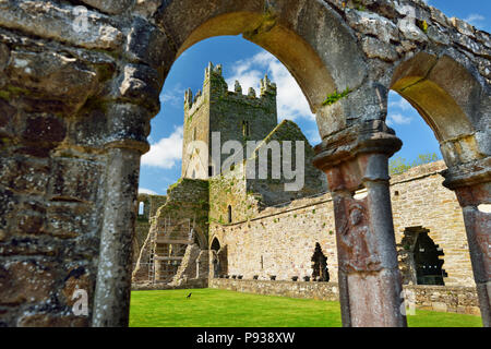 Jerpoint Abbey, eine zerstörte Zisterzienserabtei, in der zweiten Hälfte des 12. Jahrhunderts gegründet, in der Nähe von Thomastown, County Kilkenny, Irland. Stockfoto