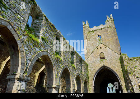 Jerpoint Abbey, eine zerstörte Zisterzienserabtei, in der zweiten Hälfte des 12. Jahrhunderts gegründet, in der Nähe von Thomastown, County Kilkenny, Irland. Stockfoto