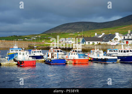 Bunte Fischerboote und Yachten im Hafen von Portmagee Stadt an der West Küste von Irland. Kleine Städte und Dörfer auf der berühmten irischen Ring Stockfoto