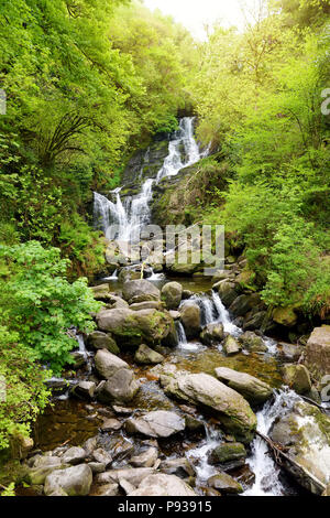 Torc Wasserfall, einer der bekanntesten Sehenswürdigkeiten in Irland, in einer malerischen Waldlandschaft des Killarney National Park. Haltepunkt der berühmten Stockfoto