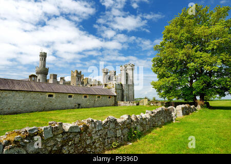 Die Türme und Türmchen von ducketts Grove, eine Burgruine aus dem 19. Jahrhundert große Haus und ehemaliger Immobilien im County Carlow, Irland. Stockfoto