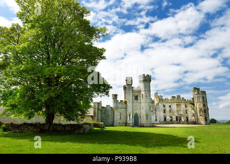 Die Türme und Türmchen von ducketts Grove, eine Burgruine aus dem 19. Jahrhundert große Haus und ehemaliger Immobilien im County Carlow, Irland. Stockfoto