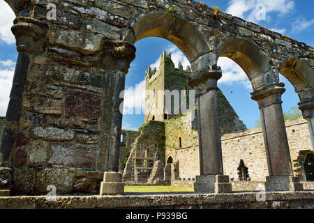 Jerpoint Abbey, eine zerstörte Zisterzienserabtei, in der zweiten Hälfte des 12. Jahrhunderts gegründet, in der Nähe von Thomastown, County Kilkenny, Irland. Stockfoto