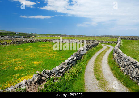 Inishmore oder Inis MOR, der größten der Aran Inseln in der Bucht von Galway, Irland. Berühmt für seine starke irische Kultur, Loyalität gegenüber der irischen Sprache, und Stockfoto