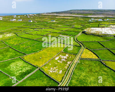 Luftaufnahme von Inishmore oder Inis MOR, der größten der Aran Inseln in der Bucht von Galway, Irland. Berühmt für seine starke irische Kultur, Loyalität gegenüber der Iris Stockfoto