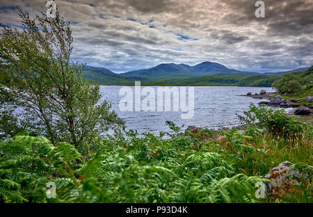 Die Schottischen Highlands (SC18) Stockfoto