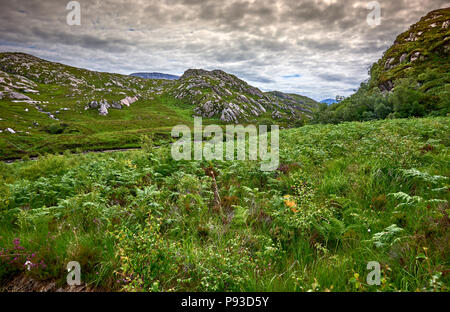 Die Schottischen Highlands (SC18) Stockfoto