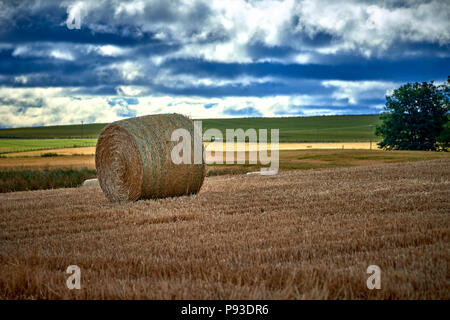 Die Schottischen Highlands (SC18) Stockfoto