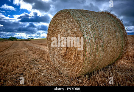 Die Schottischen Highlands (SC18) Stockfoto