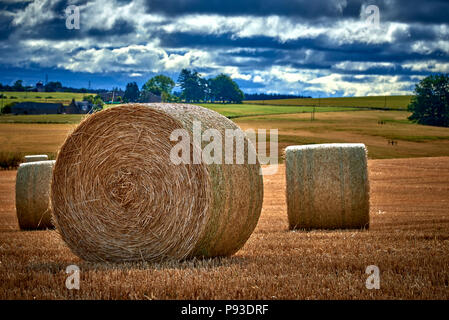 Die Schottischen Highlands (SC18) Stockfoto