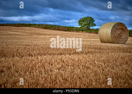 Die Schottischen Highlands (SC18) Stockfoto