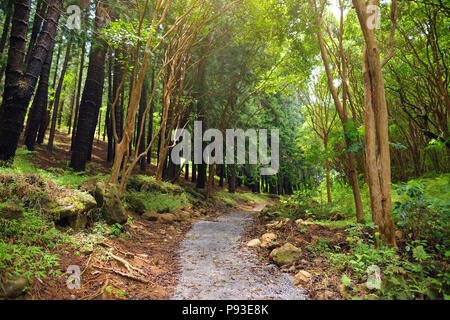 Atemberaubende Landschaft Blick von waihee Ridge Trail, Maui, Hawaii, USA gesehen Stockfoto