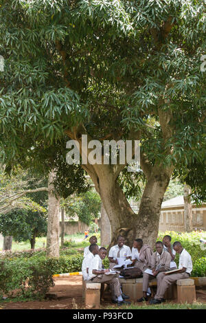 Bombo, Uganda - Ausbildung bei Don Bosco Berufsausbildungszentrum Bombo. Stockfoto