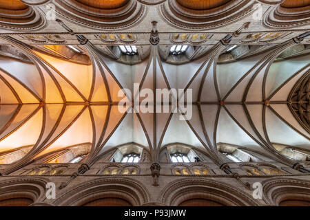 Die gewölbte Decke des Kirchenschiffs der Gloucester Cathedral, England Stockfoto