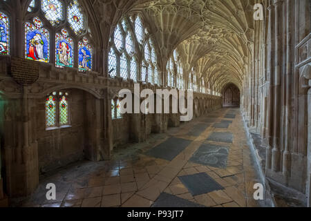 Der Kreuzgang an der Kathedrale von Gloucester, Gloucester, England Stockfoto