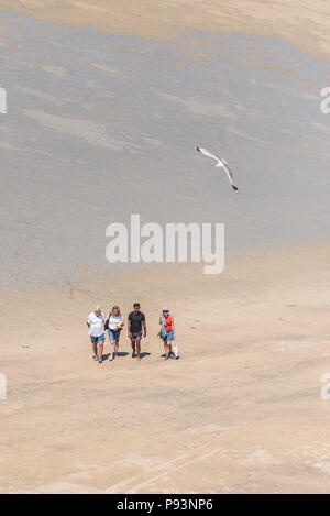 Eine Möwe über Urlauber zu Fuß auf den Towan Strand in Newquay in Cornwall fliegen. Stockfoto