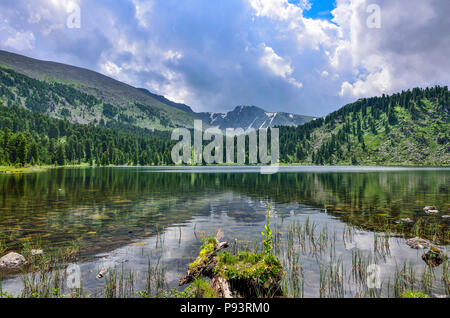 Eine aus sieben sauberste Berg Karakol Seen, im Tal, am Fuße der Bagatash Pass, Altai Gebirge, Russland. Nadelwälder ein Stockfoto