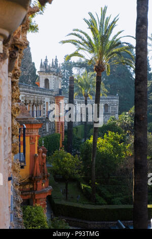 Flur in der Galeria del Grutesco, Real Alcázar Gärten, Sevilla, Andalusien, Spanien Stockfoto